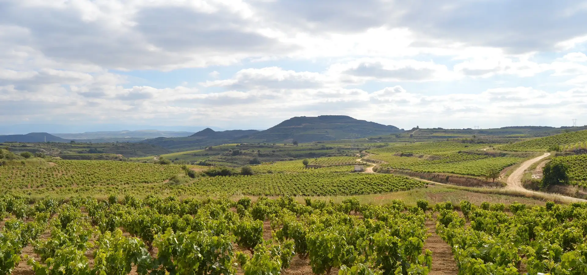 Wein-Anbaugebiete in Spanien